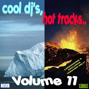 Cool dj's, hot tracks - vol. 11