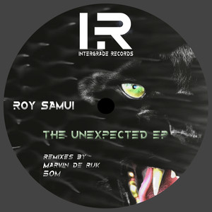 The Unexpected (5OM Remix)