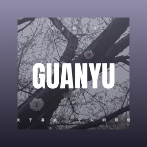 这么久了 我想我也该放下了 (Remix)