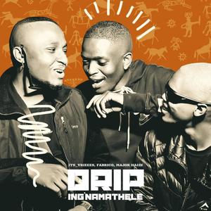 Drip Ing'namethele (feat. Majorhaize & Fabrico) [Explicit]