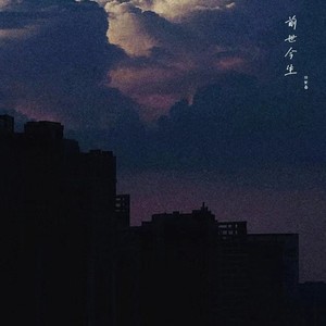 前世今生 (Live)