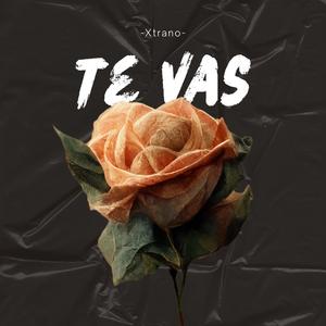 Te vas