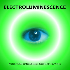 Wooded Hollow With Stream and Birds