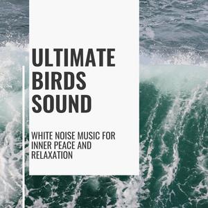 Ultimate Birds Sound - White Noise Music for Inner Peace and Relaxation