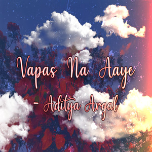 Vapas Na Aaye