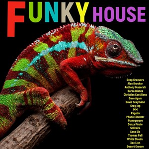 Funky House