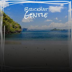 Brickbat Gentle