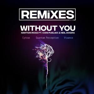 Without You(feat. Coni Puelma & Neil Dogra) (Vivanco Remix)