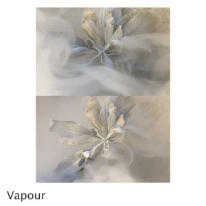 Vapour