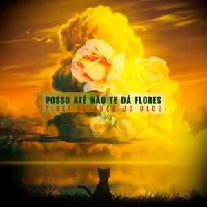 Posso Até Não Te Da Flores, TIREI ALIANÇA DO DEDO