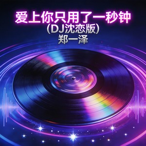 爱上你只用了一秒钟 (DJ沈恋版)