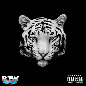 Pschedelic Dreams (feat. NST Jay) (Explicit)