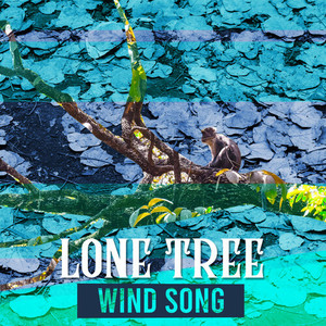 Wind Song