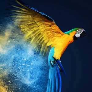 不潮不出街 (新版)