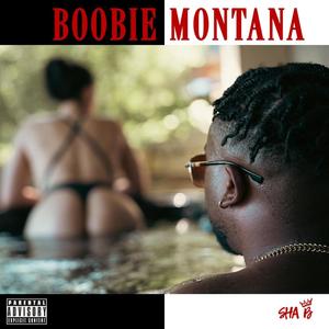 Boobie Montana (Explicit)