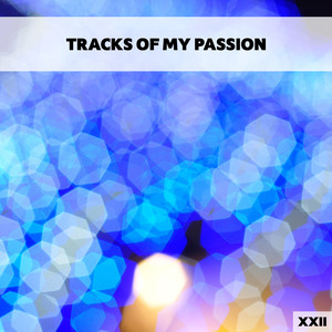 Tracks Of My Passion XXII