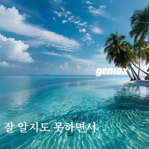 잘 알지도 못하면서 (R&B)