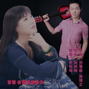 苜蓿我深爱的故乡