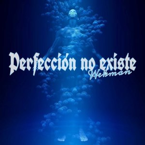 Perfección No Existe