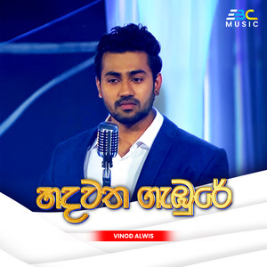 Hadawatha Gambure (Sakuge Kathawa Song)