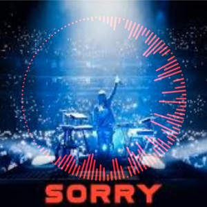 Alan Walker - Sorry  | Official Audio