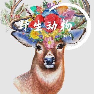 野生动物 (Demo)