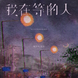 我在等的人