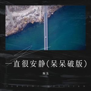 一直很安静(呆呆破版)