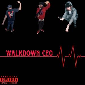 Walkdown CEO (Explicit)