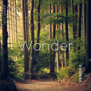 Wonder