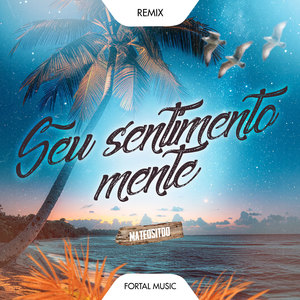 Seu Sentimento Mente (Remix)