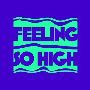 Feeling So High (Extended Mix)