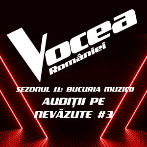 Vocea României: Audiții pe nevăzute #3 (Sezonul 11 - Bucuria Muzicii) (Live)