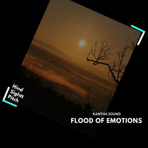 Flood Of Emotions (Original Mix)