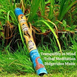 Tranquility in Mind Tribal Meditation Didgeridoo Music