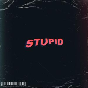 STUPID