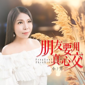 朋友要用真心交 (DJ月之歌版)