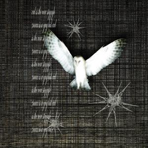 you h@ve failed (feat. dhama) (Explicit)