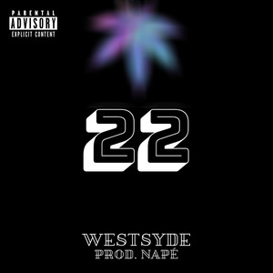 22 (Explicit)