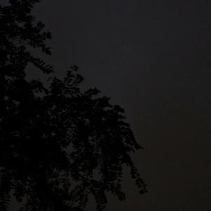 【Free】nightmares