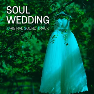 영혼결혼식 OST (Soul Wedding OST)