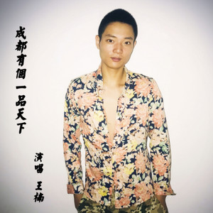 成都有个一品天下