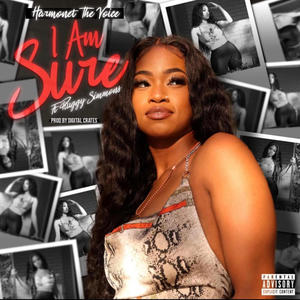 I Am Sure (feat. Pluggy Simmons) (Explicit)