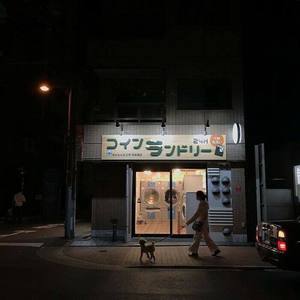 低空飞行 (女生版|翻自 沈以诚)