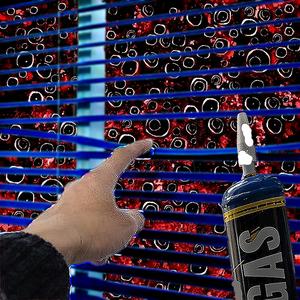 live thru the peephole (Live|Explicit)