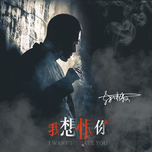 我想恨你
