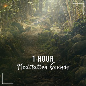 1 Hour Asian Meditation Sounds for Ultimate Relaxation