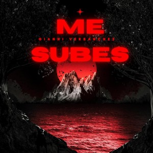 Me Subes