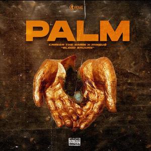 Palm (Explicit)