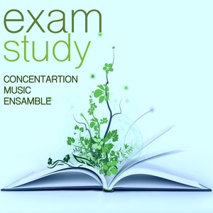 Exam Study - Classical Soothing Flute Music for Concentration On Study, How to Improve Concentration Relaxing Water Sounds, Ocean Waves, Nature Sounds, Head Massage & Piano Music Relaxation